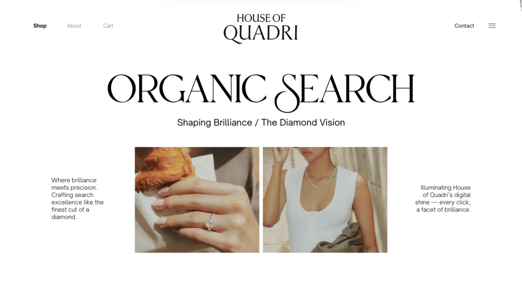 House of Quadri organic search project by Jahnavi Tyagi, digital marketer and SEO strategist